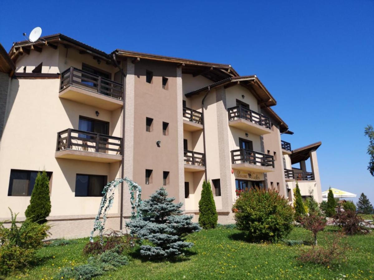 Maison d'hôtes Pensiunea Poiana Viselor Poiana Mărului