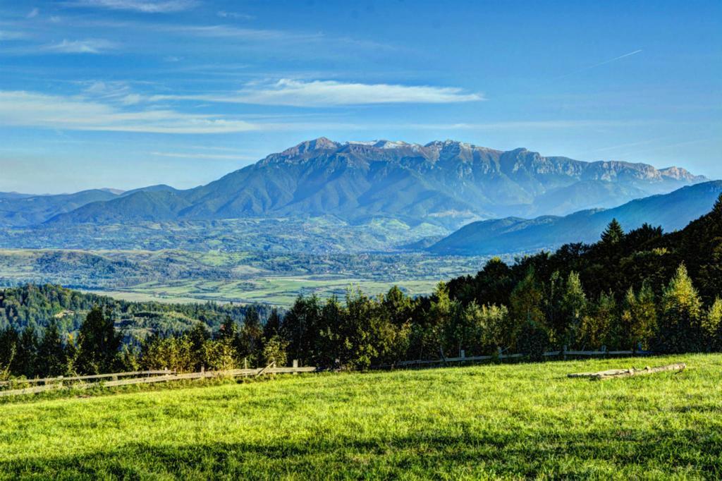 Pensiunea Poiana Viselor Maison d'hôtes 4*