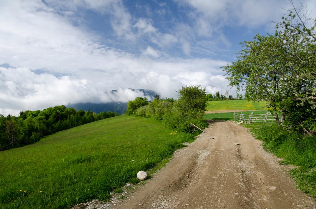 Maison d'hôtes Pensiunea Poiana Viselor Poiana Mărului