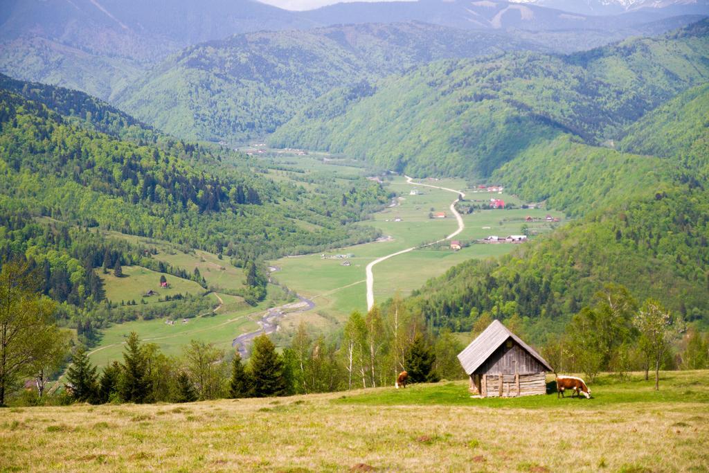 Maison d'hôtes Pensiunea Poiana Viselor Poiana Mărului