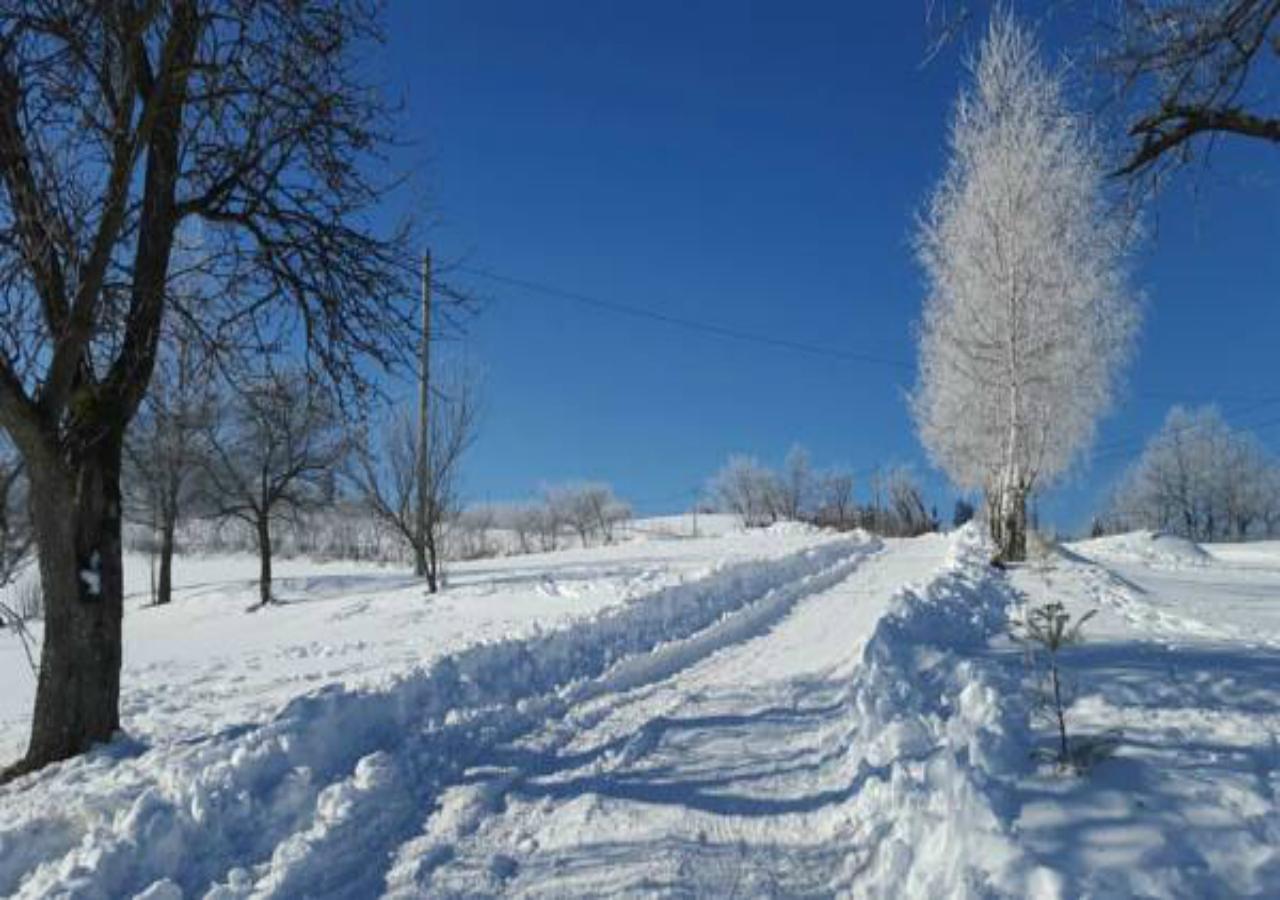 Pensiunea Poiana Viselor Poiana Mărului